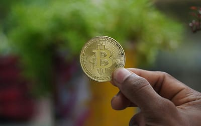 Quotazione Bitcoin a 100.000$: Svolta Decisiva o Altro Tentativo Fallito?