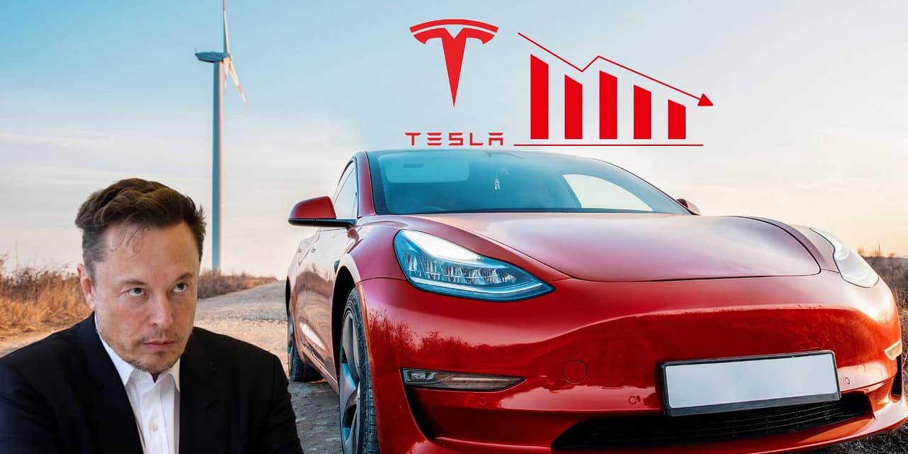 Elon, la Tesla si è scaricata? Crollo delle azioni Tesla Aprile 2024