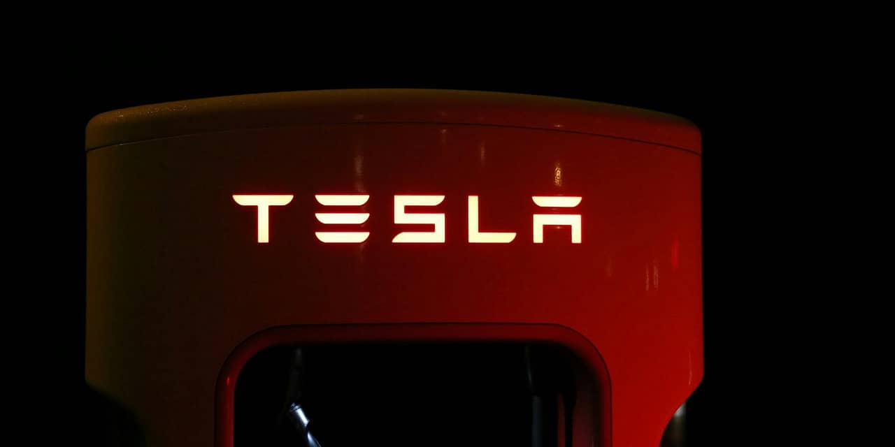 Tesla: Un 2024 da Record tra Successi e Sfide